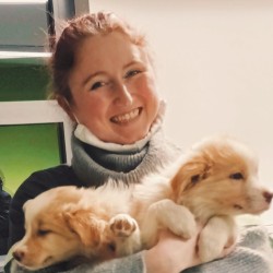 Assistante Sophie Evrard