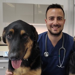 DV Anthony Mondoloni