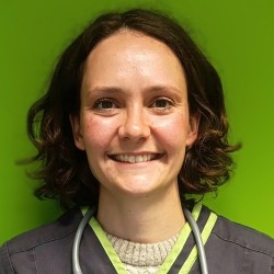 DV Axelle Schifflers