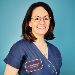 DV Claire-Elise Blard