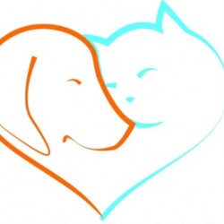 Clinique Vétérinaire De Fiancey