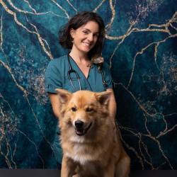 DV Marine Debouchaud