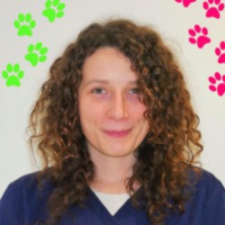 DV Charlotte Guihard